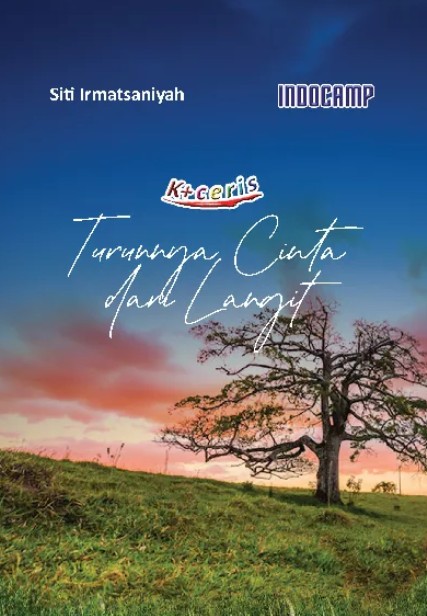 TURUNNYA CINTA DARI LANGIT