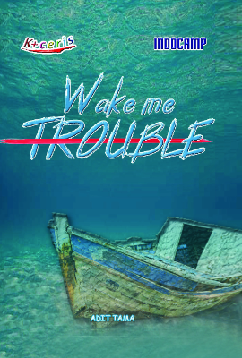 WAKE ME TROUBLE